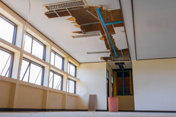 Best 24/7 water damage repair  in Montrose, NY