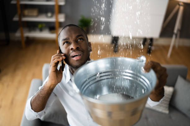 Best Professional water damage repair  in Montrose, NY