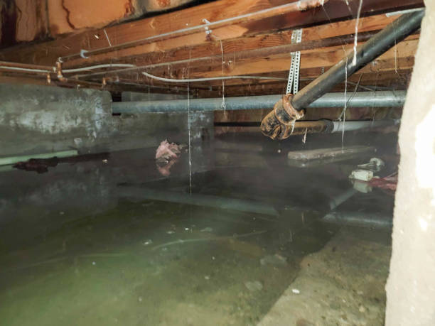 Sewage cleanup and water damage restoration in Montrose, NY