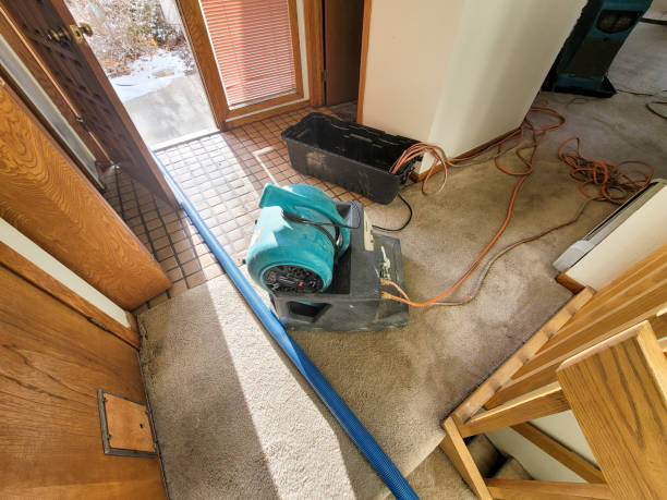 Best Emergency water damage restoration  in Montrose, NY