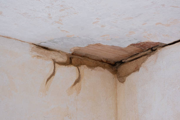 Best Water damage restoration near me  in Montrose, NY