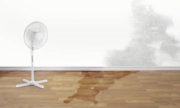 Best Local water damage restoration  in Montrose, NY