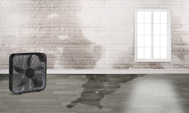 Local water damage restoration in Montrose, NY