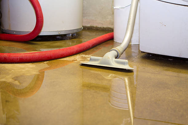 Best Ceiling water damage repair  in Montrose, NY