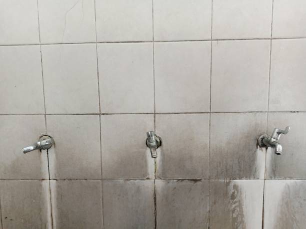 Best Flood damage cleanup  in Montrose, NY