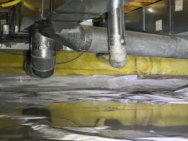 Best Professional water damage repair  in Montrose, NY