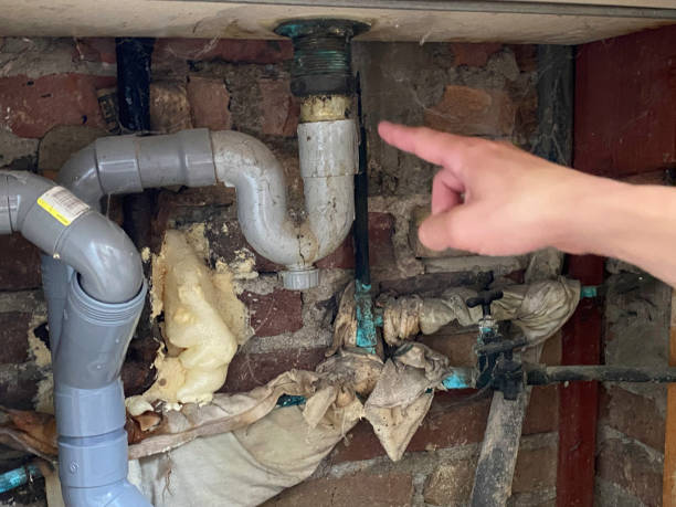 Best Basement water damage restoration  in Montrose, NY