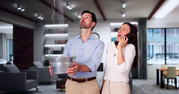 Best Flood restoration services  in Montrose, NY