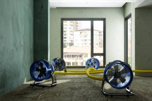 Best Commercial water damage restoration  in Montrose, NY